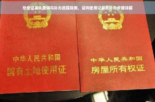 毕业证丢失查询与补办流程指南，证件使用记录及补办步骤详解