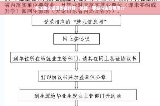 务工收入证明盖章详解，流程、要点与注意事项??