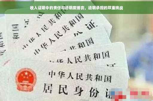 收入证明中的责任与透明度博弈，透明承担的双重挑战