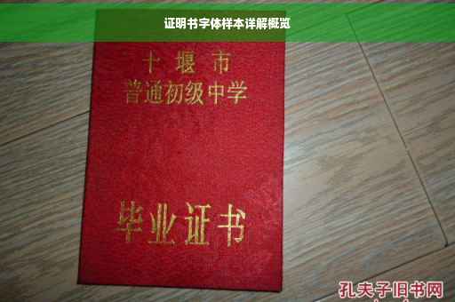 证明书字体样本详解概览