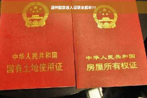 湖州取款收入证明全解析??