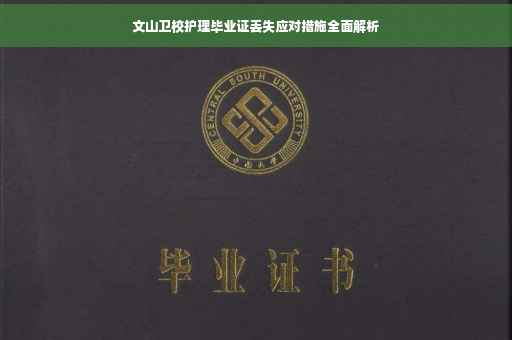 文山卫校护理毕业证丢失应对措施全面解析