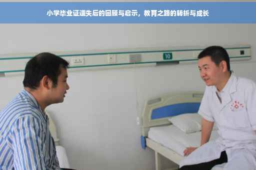 小学毕业证遗失后的回顾与启示，教育之路的转折与成长