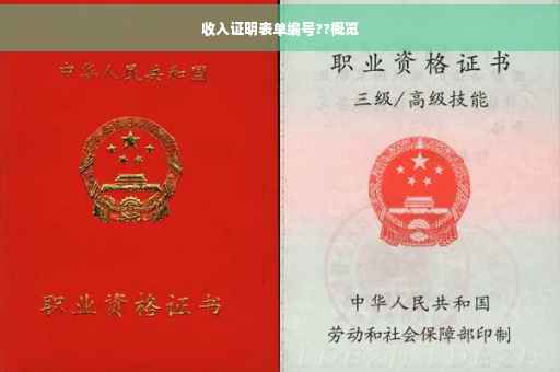 收入证明表单编号??概览
