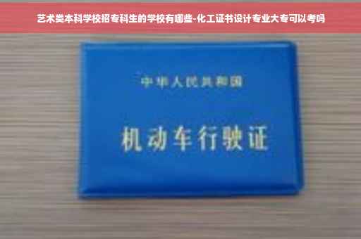 艺术类本科学校招专科生的学校有哪些-化工证书设计专业大专可以考吗