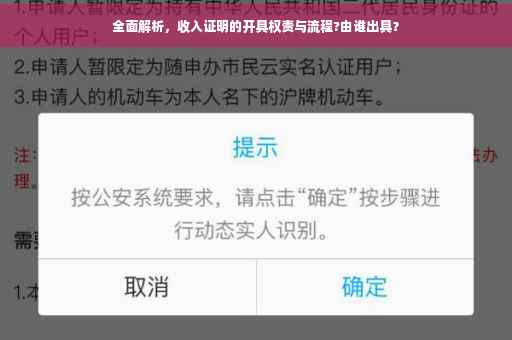 全面解析，收入证明的开具权责与流程?由谁出具？