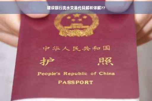 建设银行流水交易代码解析详解??