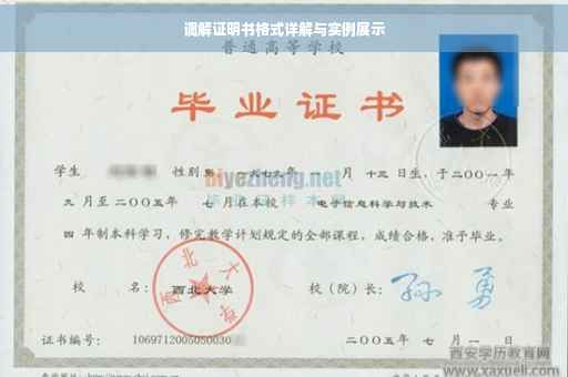 调解证明书格式详解与实例展示