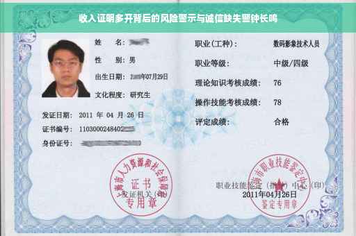 收入证明多开背后的风险警示与诚信缺失警钟长鸣
