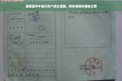 离婚案件中银行账户流水调查，财务真相的揭秘之路