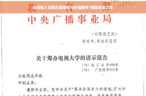 社保收入证明的重要性与价值解析?保障未来之选