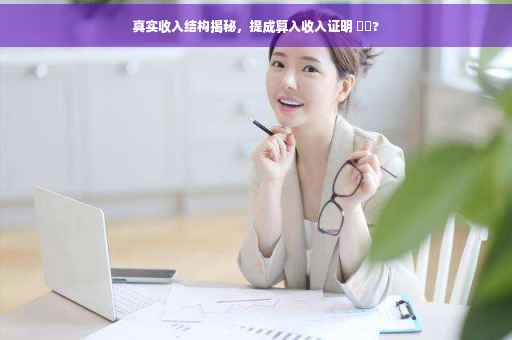 真实收入结构揭秘，提成算入收入证明 ⚡️?