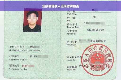 安徽低保收入证明详解指南
