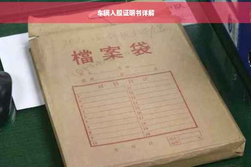 车辆入股证明书详解