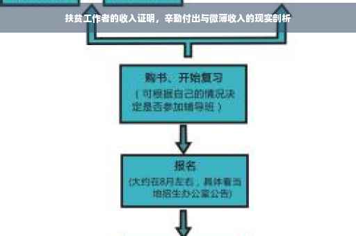 扶贫工作者的收入证明，辛勤付出与微薄收入的现实剖析