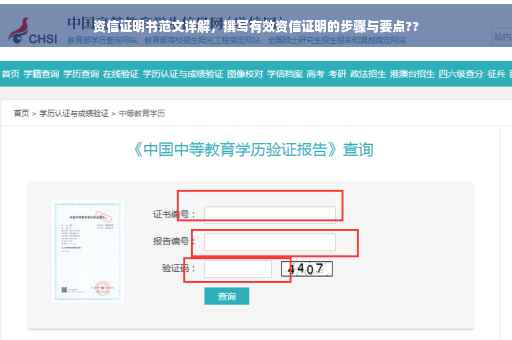 资信证明书范文详解，撰写有效资信证明的步骤与要点??