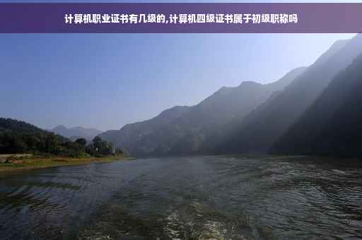 计算机职业证书有几级的,计算机四级证书属于初级职称吗