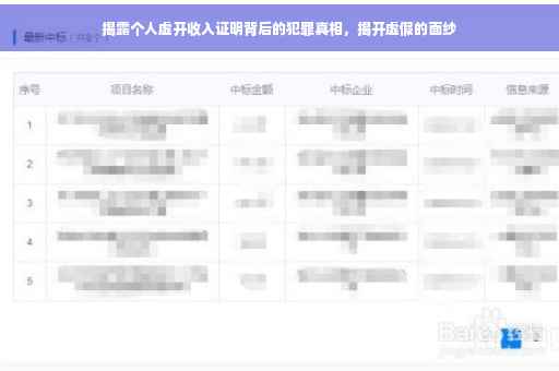 揭露个人虚开收入证明背后的犯罪真相，揭开虚假的面纱