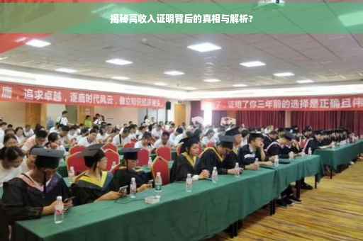揭秘高收入证明背后的真相与解析?