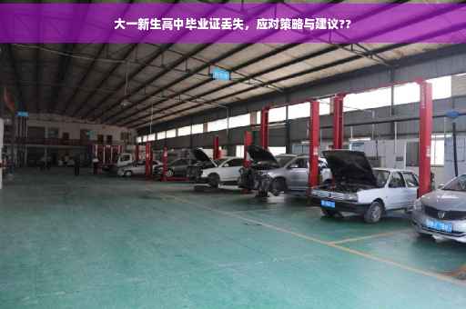 大一新生高中毕业证丢失，应对策略与建议??
