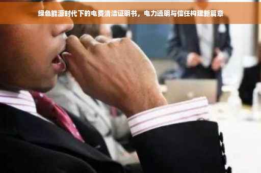 绿色能源时代下的电费清洁证明书，电力透明与信任构建新篇章