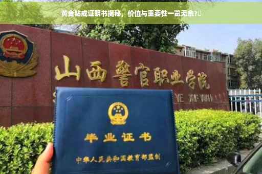 黄金钻戒证明书揭秘，价值与重要性一览无余?✨