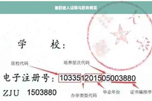 兼职收入证明与职务概览