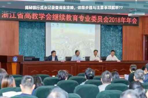 揭秘银行流水记录查询全攻略，详细步骤与注意事项解析??