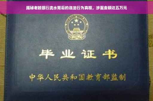 揭秘老赖银行流水背后的违法行为真相，涉案金额达五万元