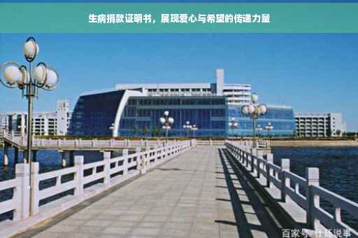 生病捐款证明书，展现爱心与希望的传递力量