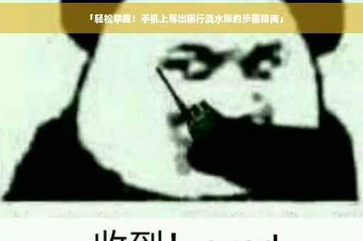 「轻松掌握！手机上导出银行流水账的步骤指南」