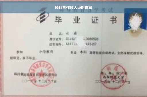 项目合作收入证明详解