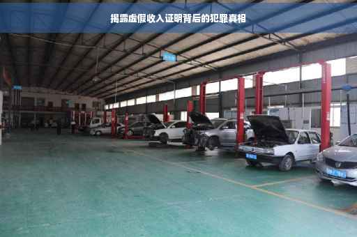 揭露虚假收入证明背后的犯罪真相