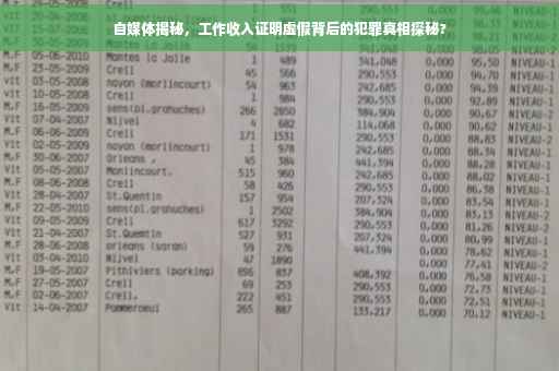 自媒体揭秘，工作收入证明虚假背后的犯罪真相探秘?