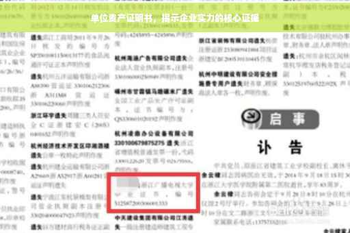 单位资产证明书，揭示企业实力的核心证据