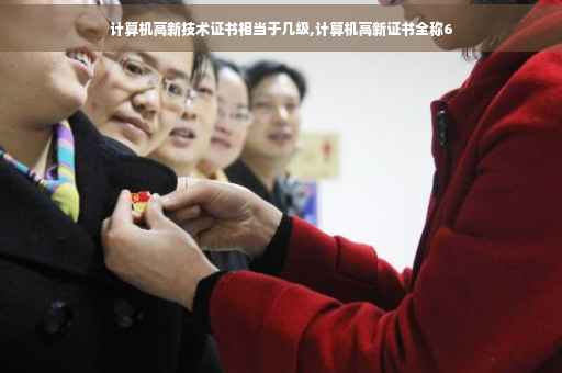 计算机高新技术证书相当于几级,计算机高新证书全称6