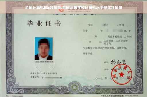 全国计算机5级含金量,全国高等学校计算机水平考试含金量
