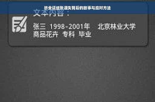毕业证纸张遗失背后的故事与应对方法