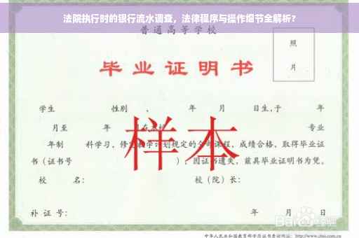 法院执行时的银行流水调查，法律程序与操作细节全解析?