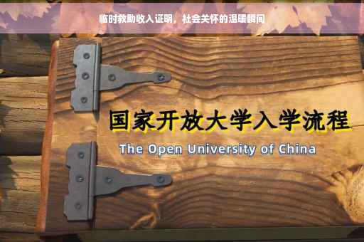 临时救助收入证明，社会关怀的温暖瞬间
