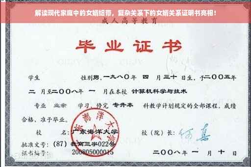 解读现代家庭中的女婿纽带，复杂关系下的女婿关系证明书亮相！