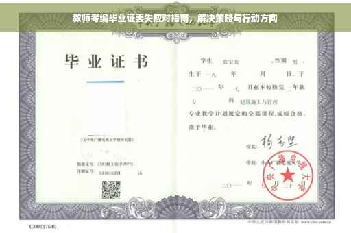 教师考编毕业证丢失应对指南，解决策略与行动方向