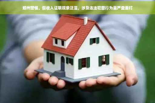 郑州警惕，假收入证明现象泛滥，涉及违法犯罪行为需严查重打