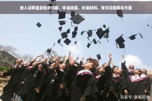 收入证明盖章报告详解，申请流程、所需材料、常见问题解决方案
