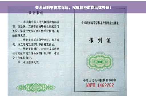 关系证明书样本详解，权威模板助你高效办理！