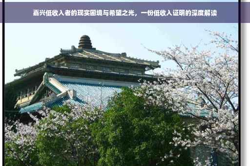 嘉兴低收入者的现实困境与希望之光，一份低收入证明的深度解读