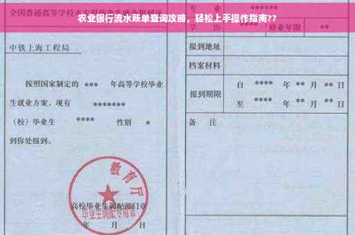 农业银行流水账单查询攻略，轻松上手操作指南??