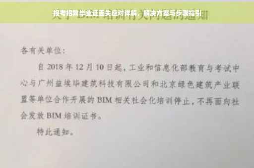 报考招教毕业证丢失应对详解，解决方案与步骤指引