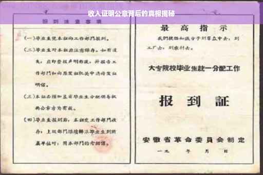 收入证明公章背后的真相揭秘