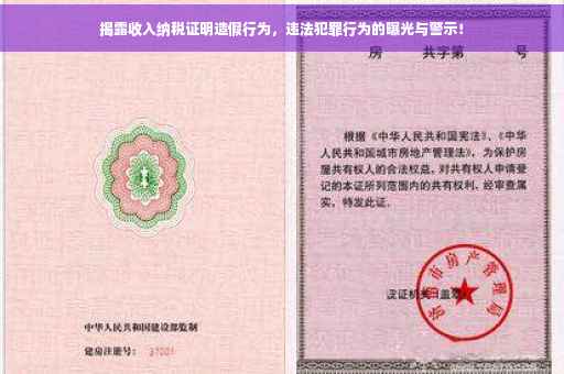 揭露收入纳税证明造假行为，违法犯罪行为的曝光与警示！